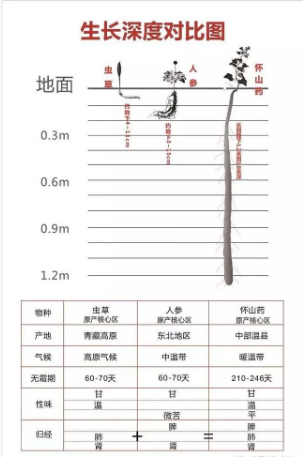 微信截图_20190810165206.png